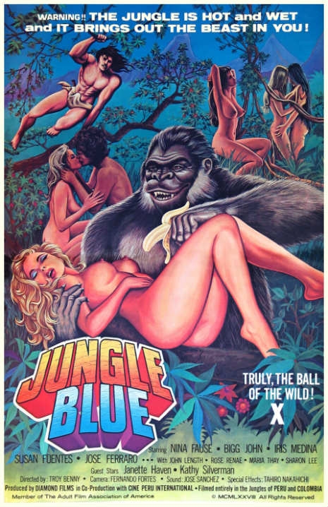 Audultmovies - The Golden Age of Porn, the most memorable vintage adult movie posters. |  Savage Thrills